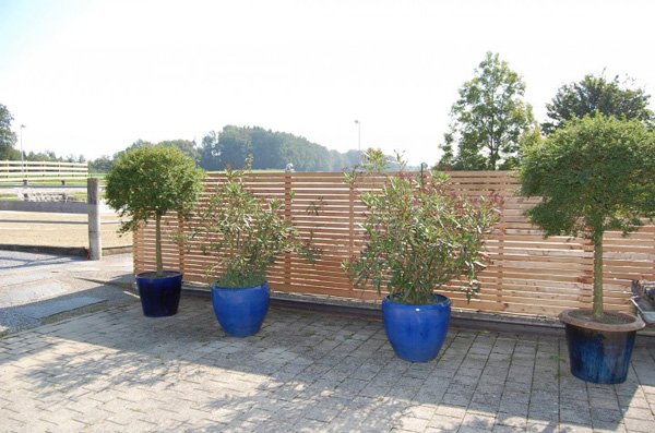 Rattan Gartenmobel Bei Hofer : Wind und Sichtschutz individuelle Massanfertigung aus CHProduktion Rattan Gartenmobel Bei Hofer : Wind und Sichtschutz individuelle Massanfertigung aus CHProduktion