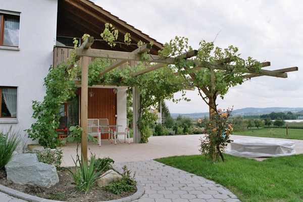 Pergolas als natürlicher Sonnenschutz - Holzbauzenter